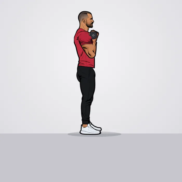 Trainer PT demonstrating the two-arm supinated dumbbell curl