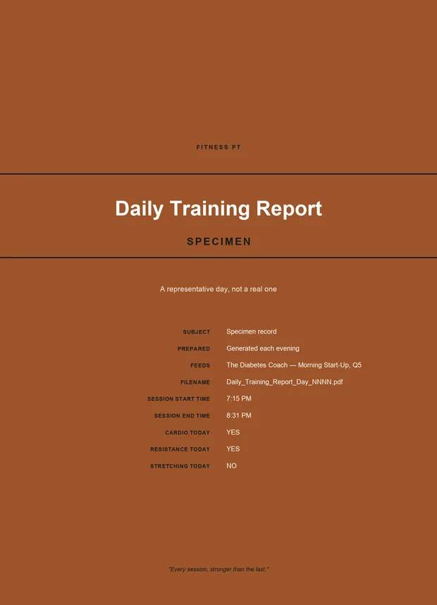 The cover of a Daily Training Report: a terracotta page ruled in black, headed Fitness PT, with the session&rsquo;s times and whether cardio, resistance and stretching were done