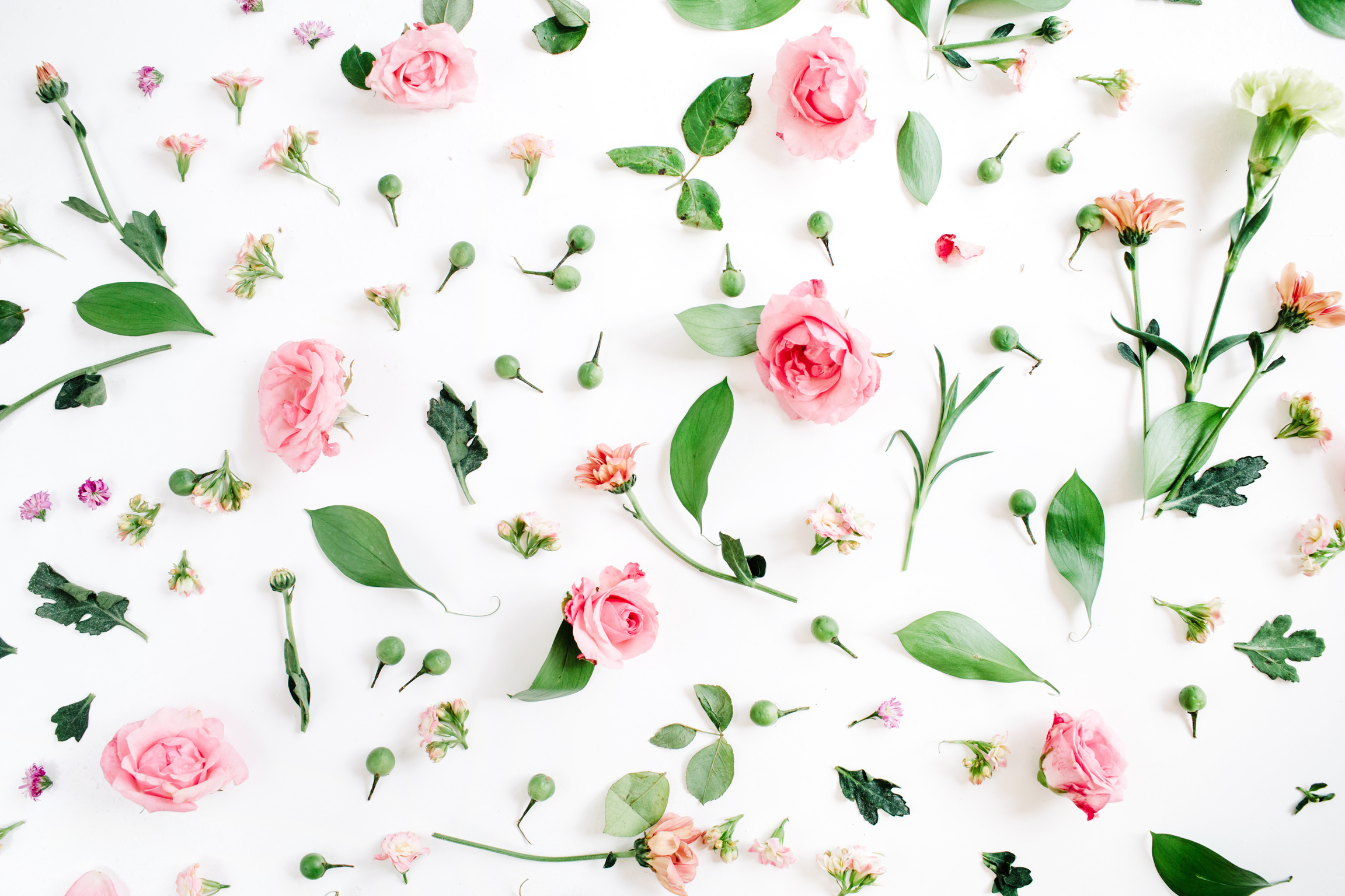 Floral Background Pattern